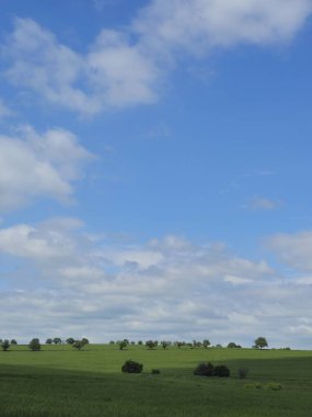Yeşil çimen ve mavi gökyüzü olan güzel bir manzara.