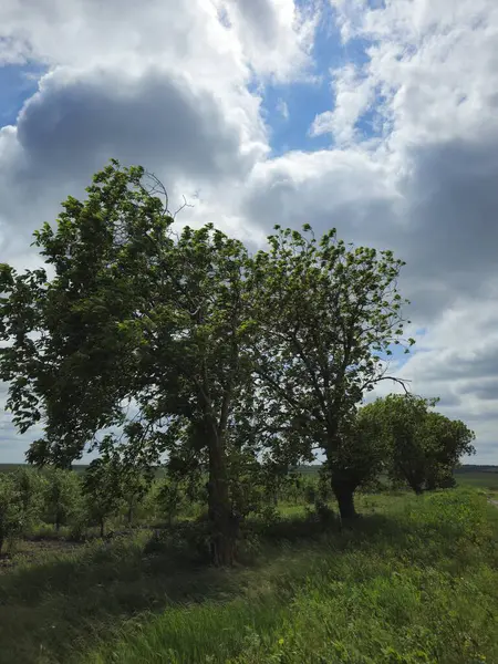 Doğanın güzel manzarası