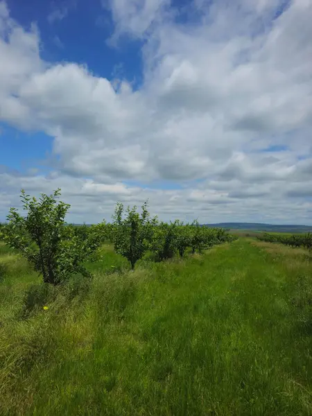 Doğanın güzel manzarası