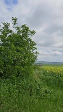 Doğanın güzel manzarası