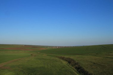 Çimen tarlası ve mavi gökyüzü olan güzel bir manzara.