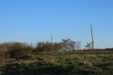 Güzel bir manzara Ağacı ve mavi gökyüzü