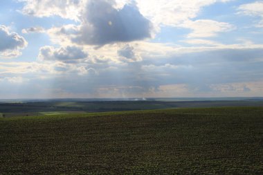 Yeşil çimenli ve bulutlu gökyüzü