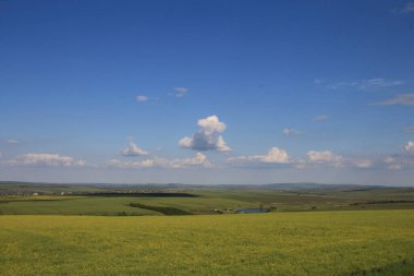 Doğanın güzel manzarası