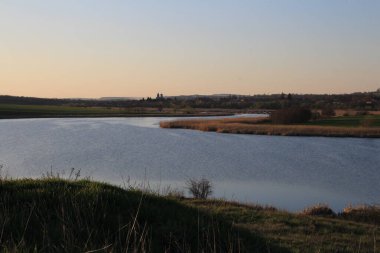 Ormandaki nehrin güzel manzarası