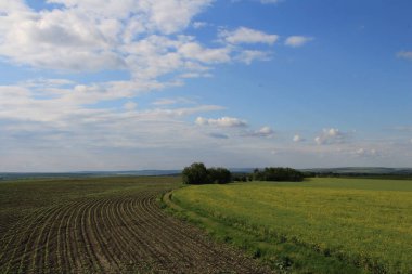Güzel alan, doğa arkaplanı