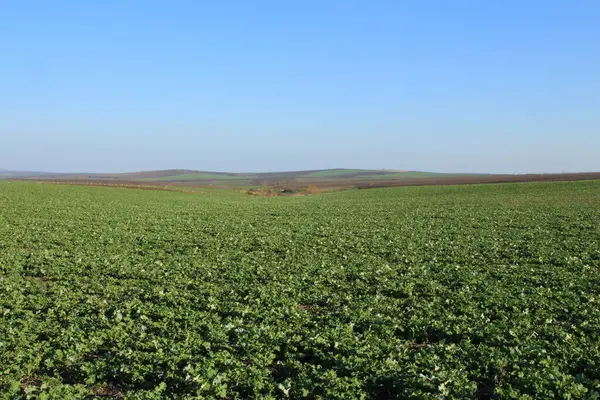 tarımsal alan, kırsal alan