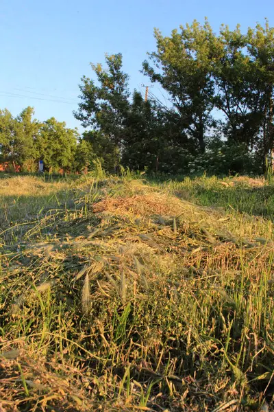 Güzel doğa manzarası.