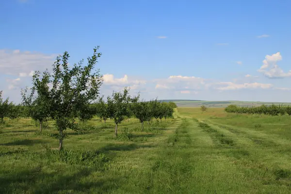 Doğanın güzel manzarası