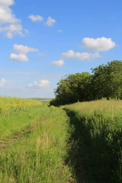 Kırsal kesimde güzel manzara.