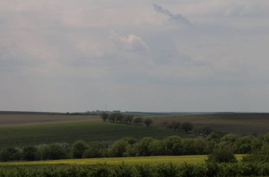Tarlalı ve ağaçlı manzara