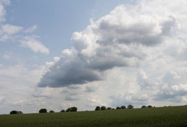 Tarlanın güzel manzarası