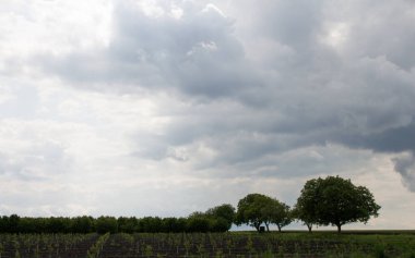 Kırsal kesimde bulutlu bir günde bir pencereden manzara