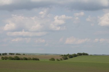 Yeşil tarlalı ve bulutlu yaz manzarası