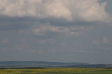 Ukrayna 'daki tarlaların güzel manzarası