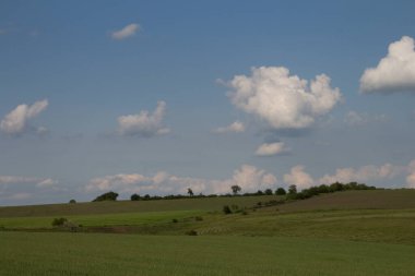 Bulutlu bir gökyüzü ve yeşil tarlaları olan manzara