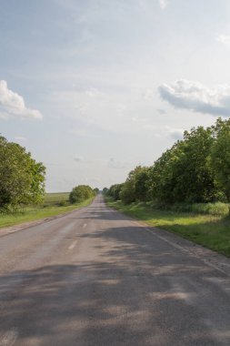 Ormandaki tarladan geçen yol.