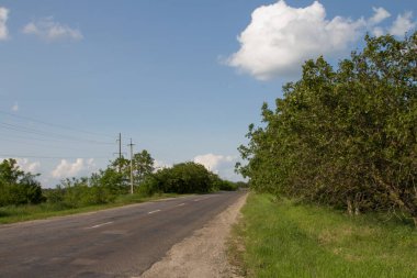 Bir yaz gününde yol Ağaçların ve mavi gökyüzünün arka planında.