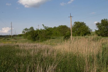 Terk edilmiş eski bir köyün arka planında çimen ve ağaç olan bir tarla.