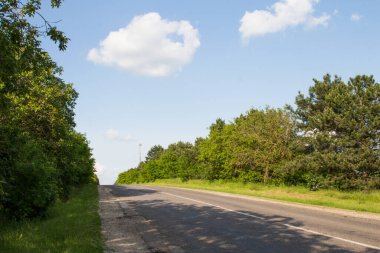 Yeşil ağaçlar ve mavi gökyüzü arasında yol