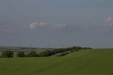 Arkaplanda beyaz bulutlar olan yeşil alan ve gökyüzü.