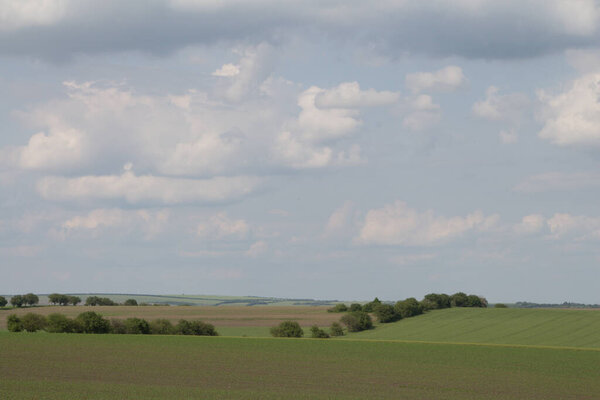 летний пейзаж с зеленым полем и облаками