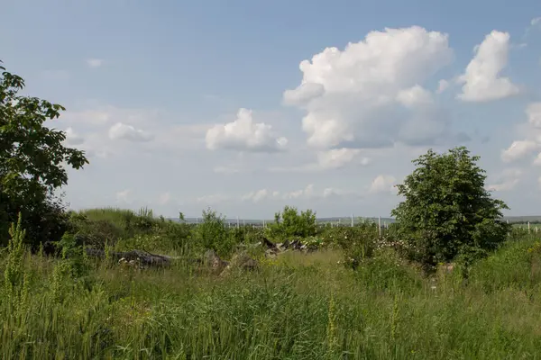 Yeşil bir tarlası ve bulutlu bir gökyüzü olan yaz manzarası