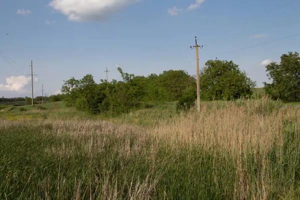 Terk edilmiş eski bir köyün arka planında çimen ve ağaç olan bir tarla.