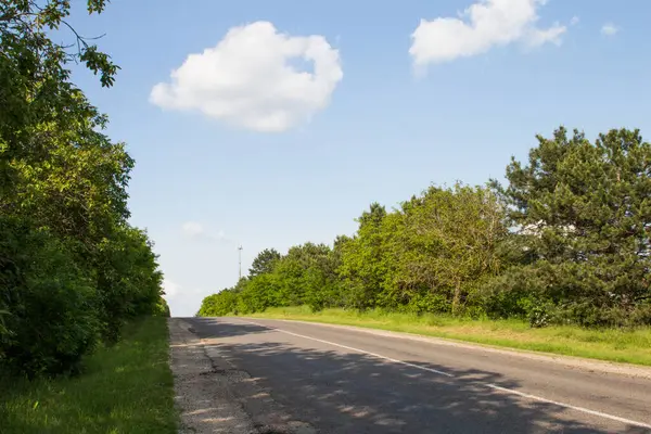 Yeşil ağaçlar ve mavi gökyüzü arasında yol
