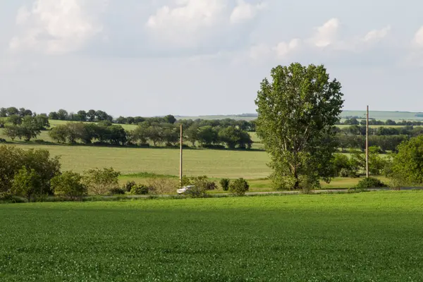 Yeşil alanlar ve ağaçlar.