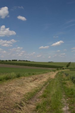 Yoldan manzara görüntüsü