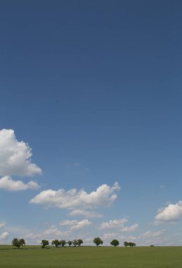 Yeşil tarla ve bulutlu mavi gökyüzü