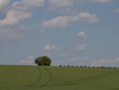 Kırsal alanda yeşil alan