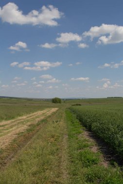 tarımsal alan, kırsal alan