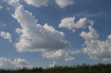 Ormanın arka planında güzel bulutlar.