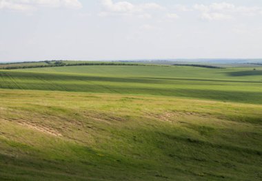 Yaz gününde manzara.