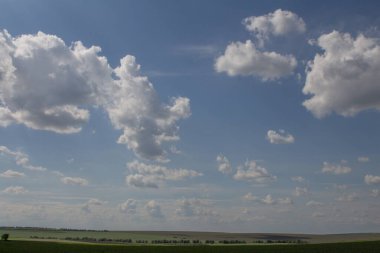 Güzel yaz tarlası ve mavi gökyüzü