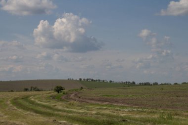Yeşil tarla ve bulutlu mavi gökyüzü