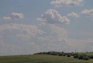Buğday ve bulutların yeşil tarlası