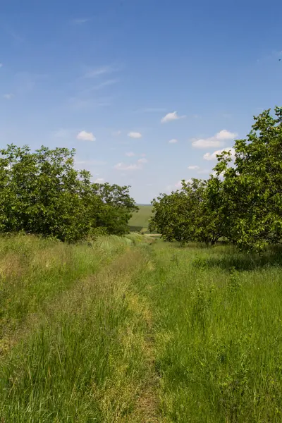 Doğanın güzel manzarası