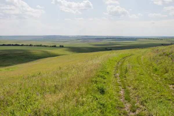 Kırsalda bir yolu olan yaz manzarası