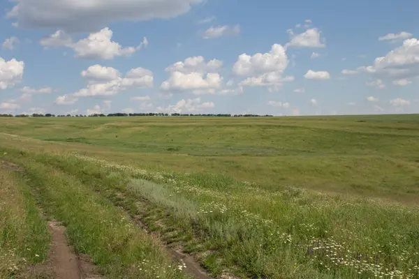 Çimen ve mavi gökyüzü.