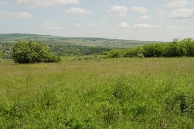 yeşil alan ve mavi gökyüzü.