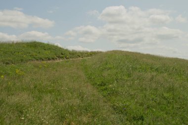 Dağlarda yeşil bir çim tarlası