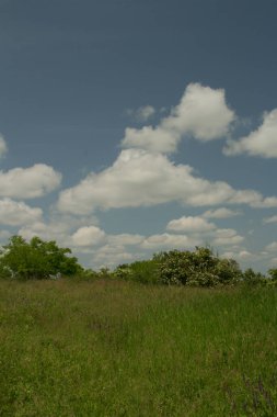 yeşil alan ve gökyüzü