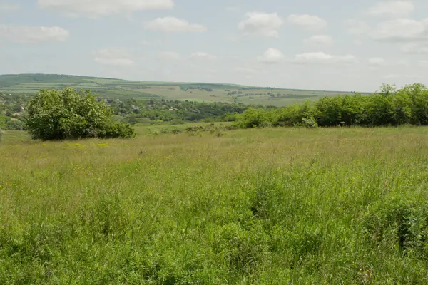 yeşil alan ve mavi gökyüzü.