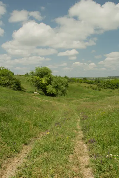 Ülkenin yeşil tarlaları ve çayırları.