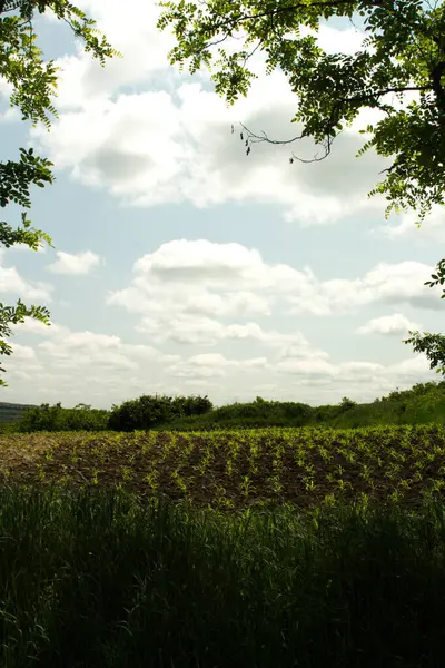 Doğanın güzel manzarası