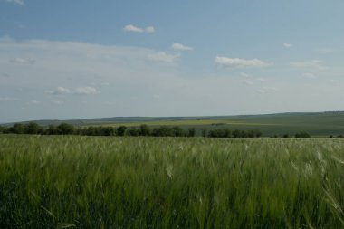 Bulutlu mavi gökyüzü