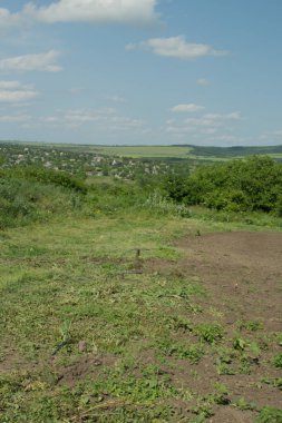 Yeşil çimenler ve mavi gökyüzü. Uzakta bulutlar. Köyün manzarası.